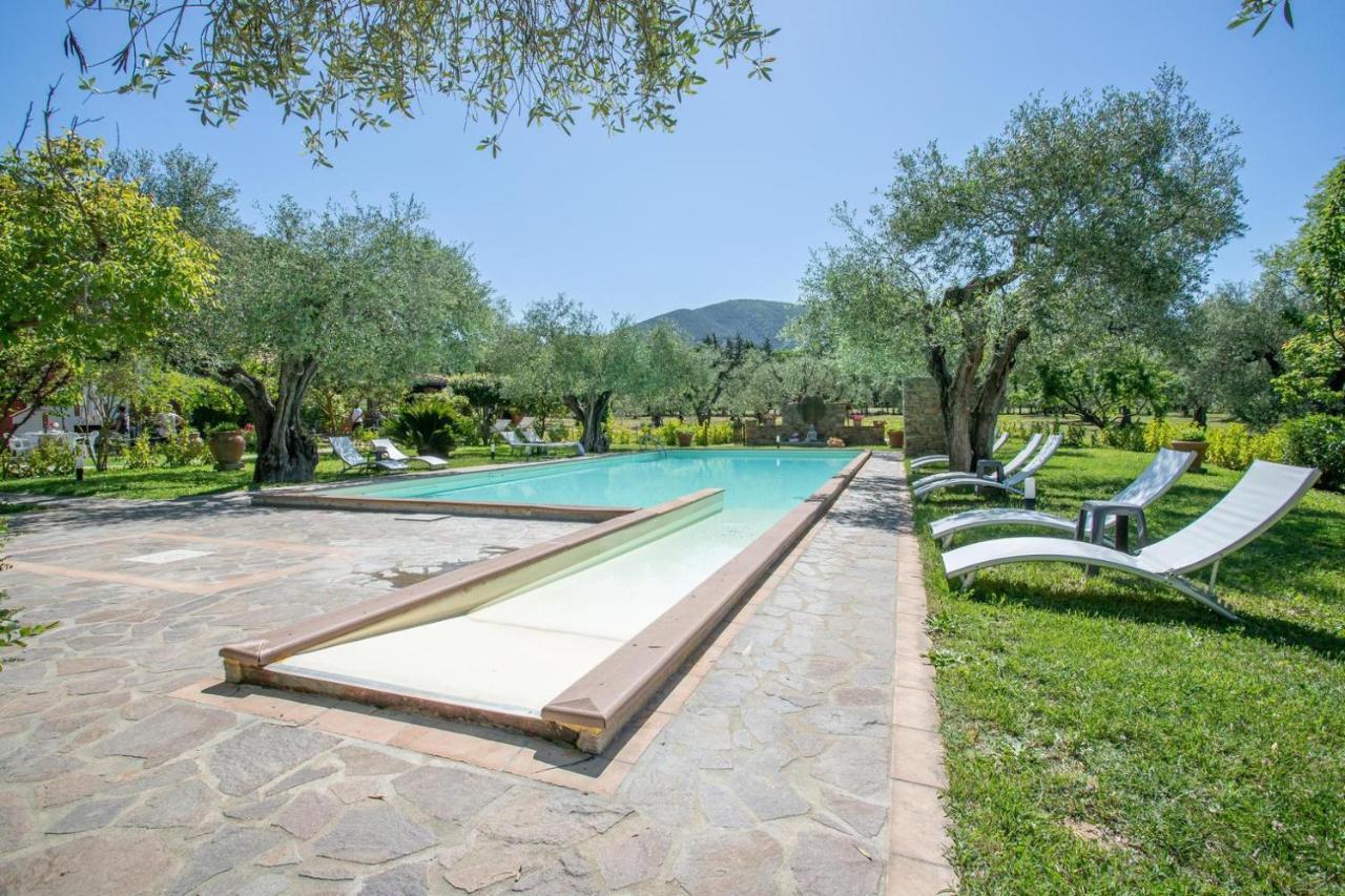 Agriturismo Buen Camino Scarlino Extérieur photo